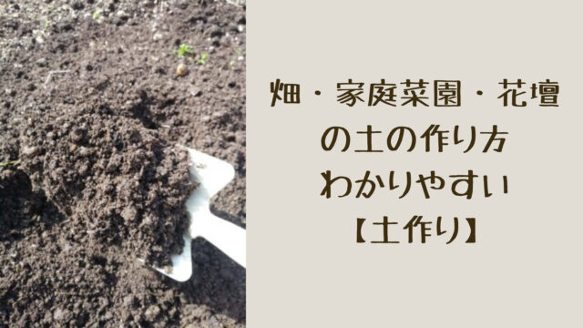 【はじめての土作り①】庭の片隅を掘り起こしてみよう